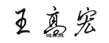 駱恆光王高宏行書個性簽名怎么寫