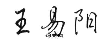 駱恆光王易陽行書個性簽名怎么寫