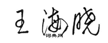 駱恆光王海曉草書個性簽名怎么寫