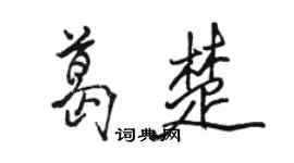 駱恆光葛楚行書個性簽名怎么寫