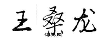 曾慶福王桑龍行書個性簽名怎么寫