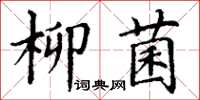 丁謙柳菌楷書怎么寫