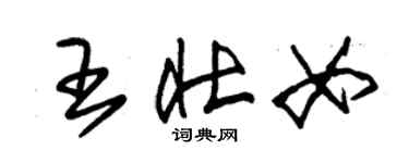 朱錫榮王壯女草書個性簽名怎么寫