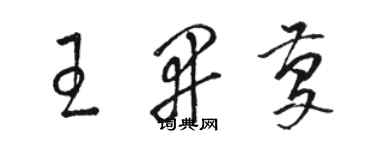 駱恆光王開慶草書個性簽名怎么寫