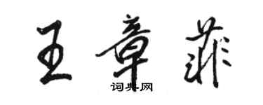 駱恆光王章菲行書個性簽名怎么寫