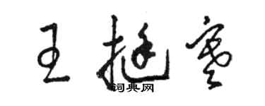 駱恆光王挺寒草書個性簽名怎么寫