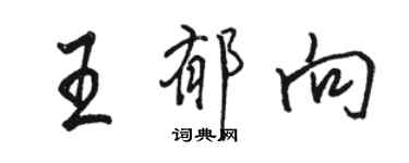駱恆光王郁向行書個性簽名怎么寫