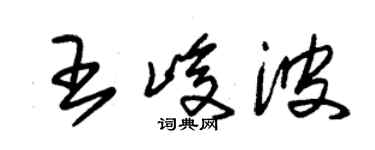 朱錫榮王峻波草書個性簽名怎么寫