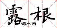 周炳元露根楷書怎么寫