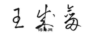 駱恆光王成劍草書個性簽名怎么寫