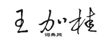 駱恆光王加桂草書個性簽名怎么寫