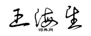 曾慶福王海望草書個性簽名怎么寫