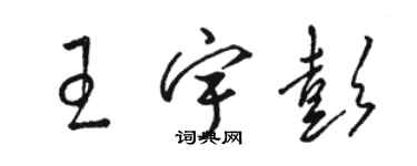 駱恆光王宇彭草書個性簽名怎么寫