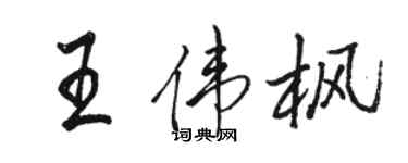 駱恆光王偉楓行書個性簽名怎么寫