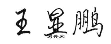 駱恆光王顯鵬行書個性簽名怎么寫