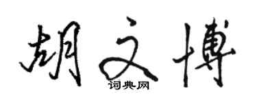 駱恆光胡文博行書個性簽名怎么寫