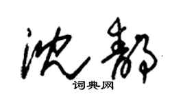 朱錫榮沈靜草書個性簽名怎么寫