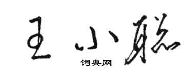 駱恆光王小聰草書個性簽名怎么寫