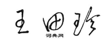 駱恆光王田珍草書個性簽名怎么寫