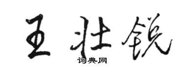 駱恆光王壯銳行書個性簽名怎么寫