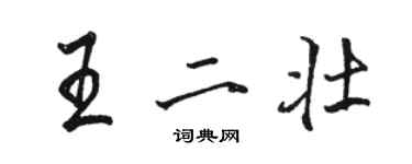 駱恆光王二壯行書個性簽名怎么寫