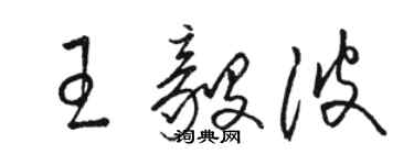 駱恆光王毅波草書個性簽名怎么寫