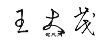 駱恆光王大茂草書個性簽名怎么寫