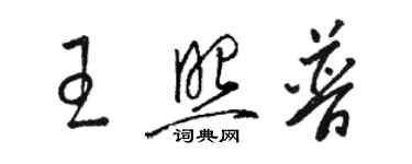 駱恆光王照普草書個性簽名怎么寫