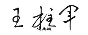 駱恆光王柱軍草書個性簽名怎么寫