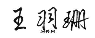 駱恆光王羽珊行書個性簽名怎么寫