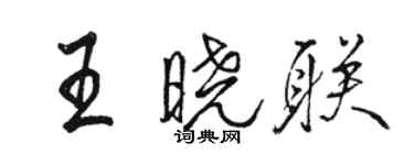 駱恆光王曉聯行書個性簽名怎么寫