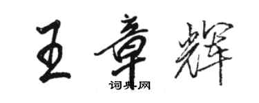 駱恆光王章輝行書個性簽名怎么寫