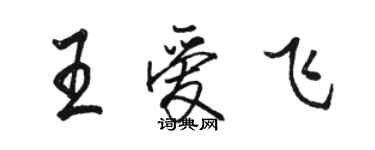 駱恆光王愛飛行書個性簽名怎么寫