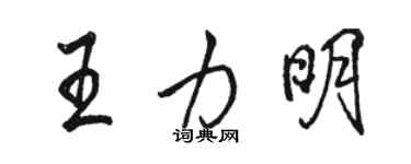 駱恆光王力明行書個性簽名怎么寫