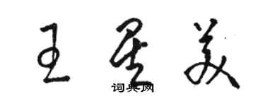 駱恆光王星美草書個性簽名怎么寫