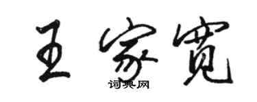 駱恆光王家寬行書個性簽名怎么寫