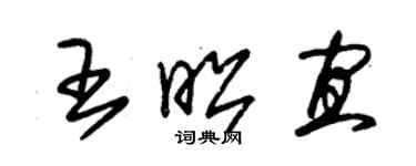 朱錫榮王昭宜草書個性簽名怎么寫