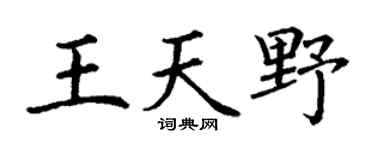 丁謙王天野楷書個性簽名怎么寫