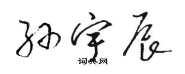 駱恆光孫宇辰草書個性簽名怎么寫