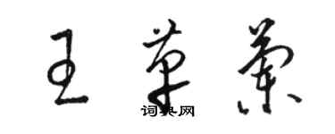 駱恆光王革蘭草書個性簽名怎么寫