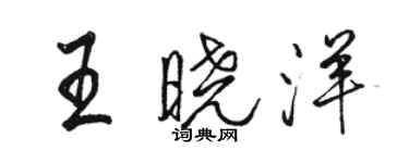 駱恆光王曉洋行書個性簽名怎么寫