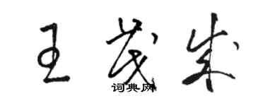 駱恆光王茂成草書個性簽名怎么寫