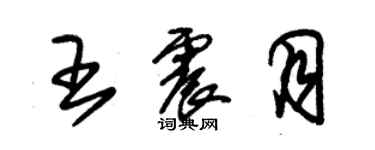 朱錫榮王震月草書個性簽名怎么寫