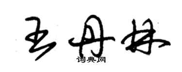 朱錫榮王丹林草書個性簽名怎么寫