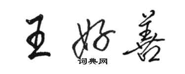 駱恆光王好善行書個性簽名怎么寫