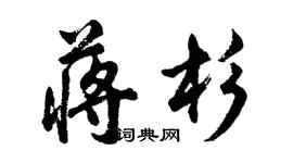 胡問遂蔣杉行書個性簽名怎么寫