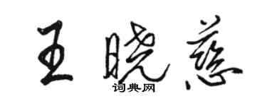 駱恆光王曉慈行書個性簽名怎么寫