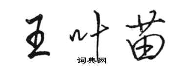 駱恆光王葉苗行書個性簽名怎么寫