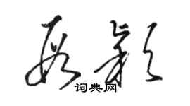 駱恆光段穎草書個性簽名怎么寫