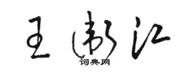 駱恆光王衛江草書個性簽名怎么寫